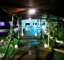 ARENILE POOL (21)